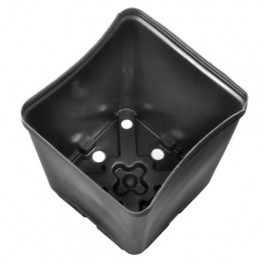Gro Pro Square Plastic Pot 5.5 in x 5.5 in x 6 in (200/Cs)