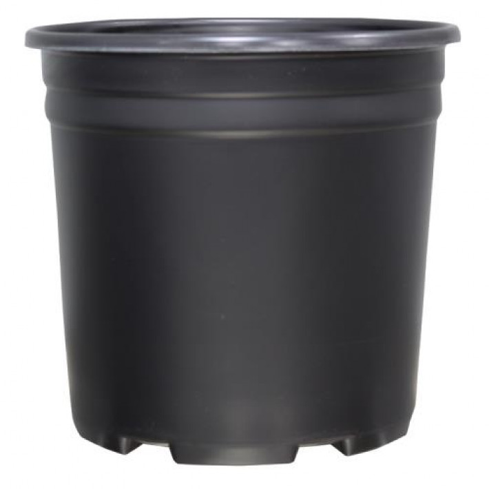 Thermoformed Nursery Pot 2 Gallon