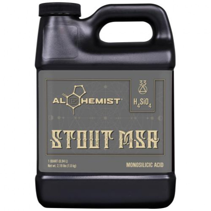 Alchemist Stout MSA Quart (12/Cs)