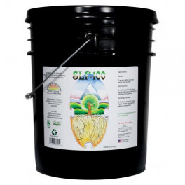 SLF-100 5 Gallon (1/Cs)